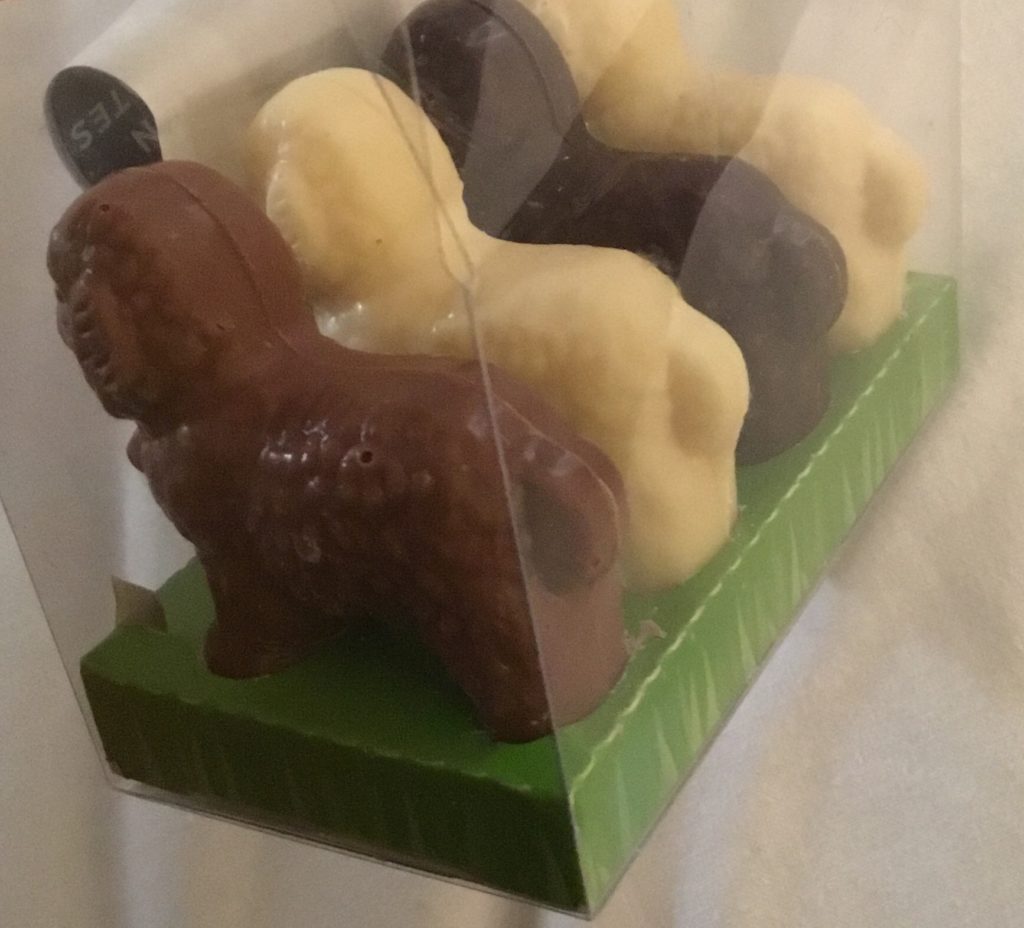 Chocolate Sheep