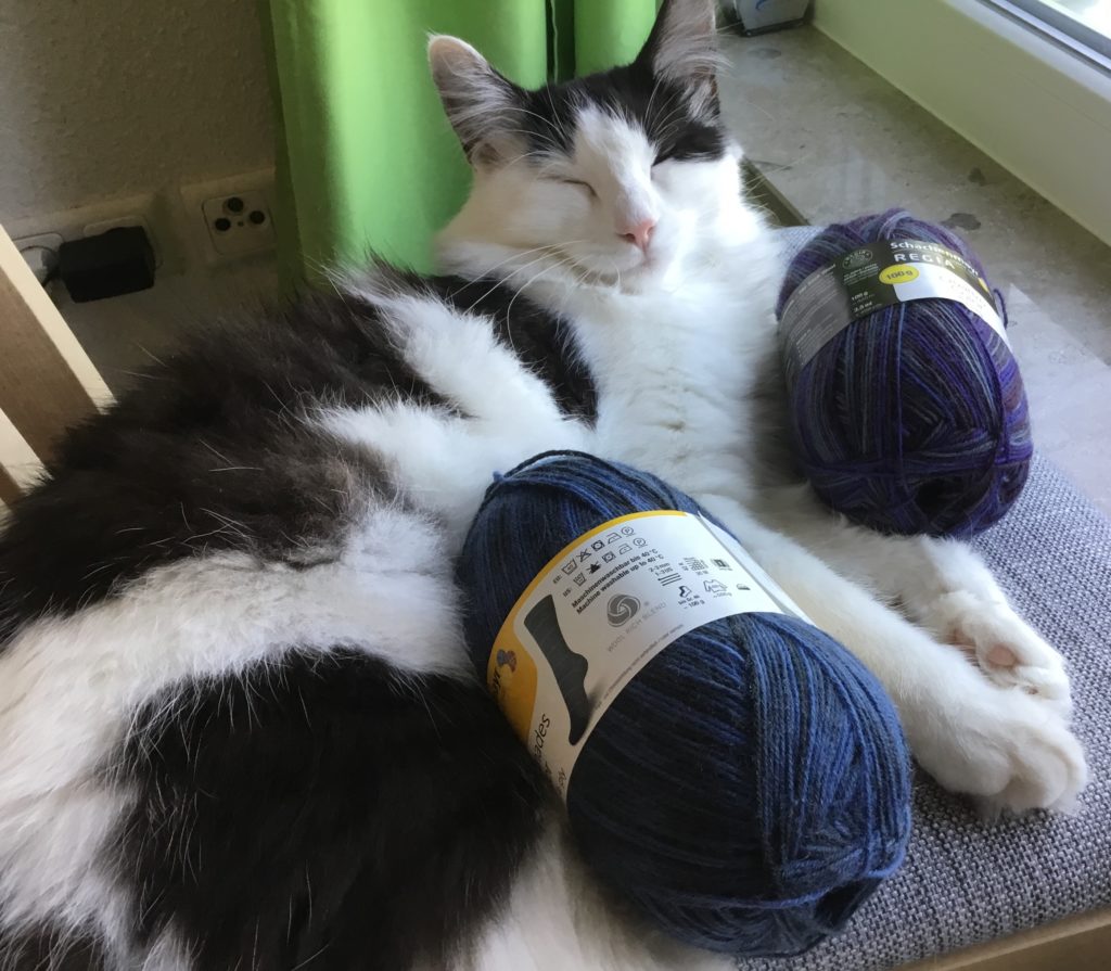 Two skeins of Regia in dark blue and deep purple with a black and white cat